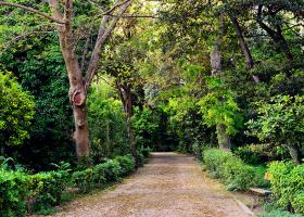 Фотопутівник Афінами: Національний сад – оазис у центрі міста